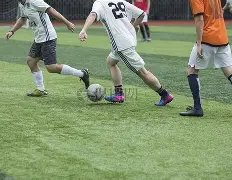 激战,佩纳菲尔挑,战费雷拉,芒果体育平台,芒果体育官方网站,芒果体育登录入口,芒果体育app下载