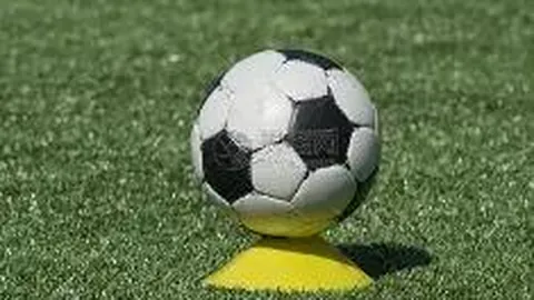 芒果体育 产品 085825 b1w